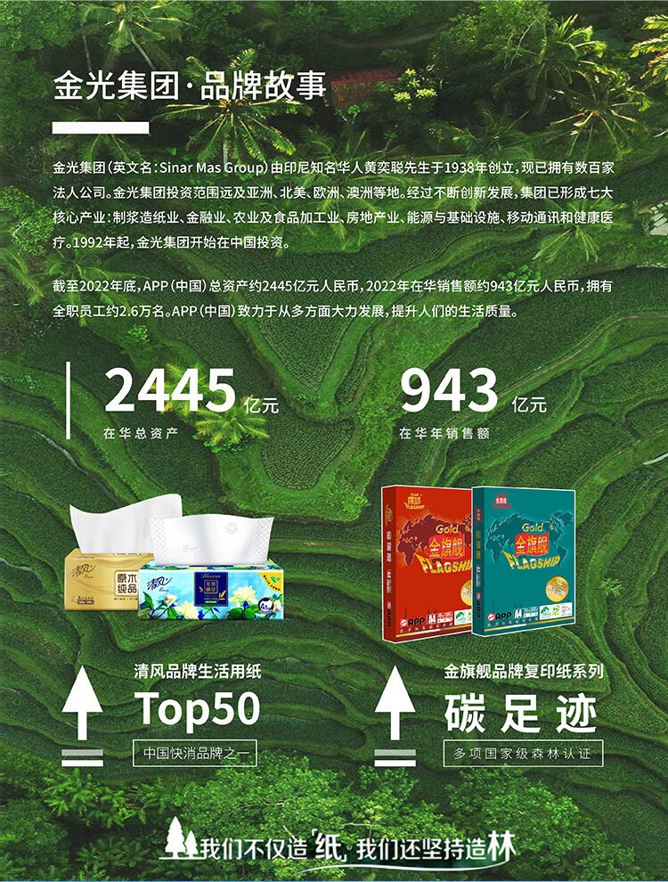 蓝蜗牛70克 A4 复印纸 顺滑不卡纸双面打印A4纸整箱 500张/包 5包/箱（2500张）金光 APP