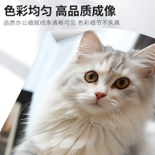 佳能 NPG-88粉盒复合机硒鼓墨粉碳粉盒 适用于C3322L/c3326/c3926/c3930/c3935 NPG88L黄色经济装