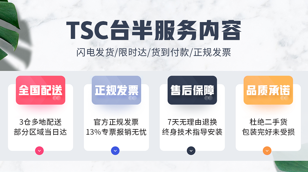 TSC T-4503E(300DPI)条码打印机 T4503E/T4502/T300A热敏标签打印机条码机 不干胶 水洗标 吊牌 打印机 标签打印机