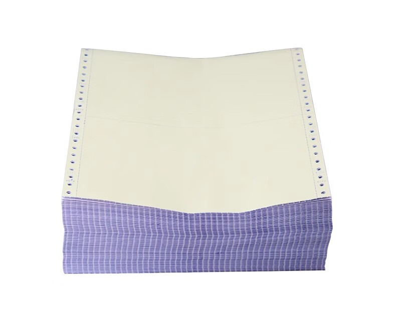 立信241电脑针式打印纸连打电脑打印纸出库送货清单发票单据打印纸241 二联整张可撕边（1000页）